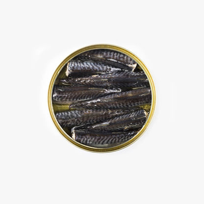Caballitas en Aceite de Oliva RO120